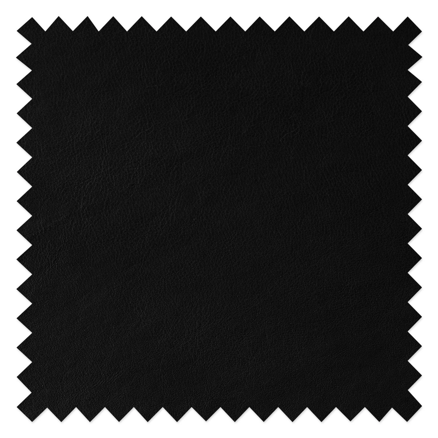 Studio Copenhagen Chaises Wilga V (lot de 2) - Cuir véritable 9 Studio Copenhagen Chaises Wilga V (lot de 2) - Cuir véritable – Image 7