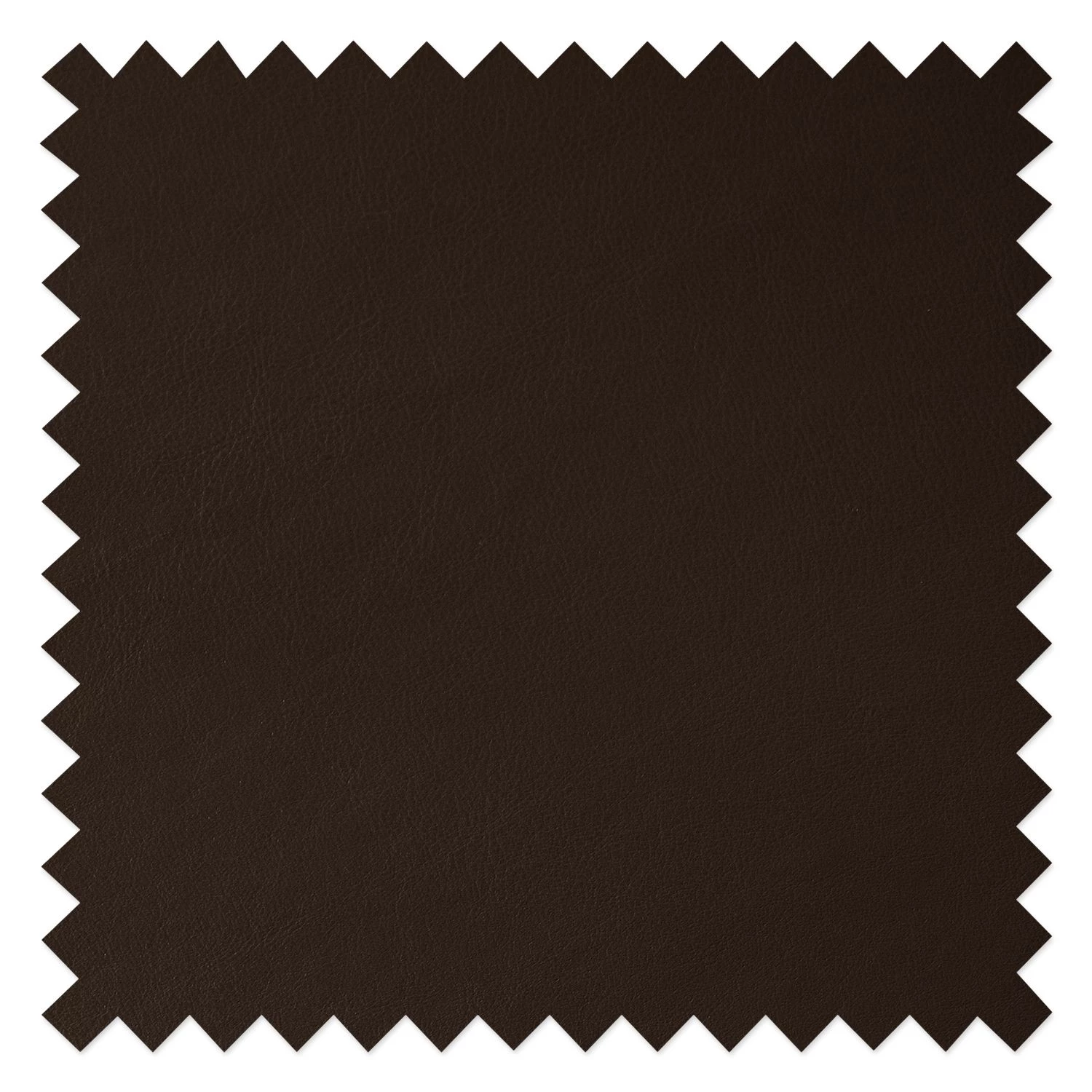 Studio Copenhagen Chaises Wilga V (lot de 2) - Cuir véritable 9 Studio Copenhagen Chaises Wilga V (lot de 2) - Cuir véritable – Image 7