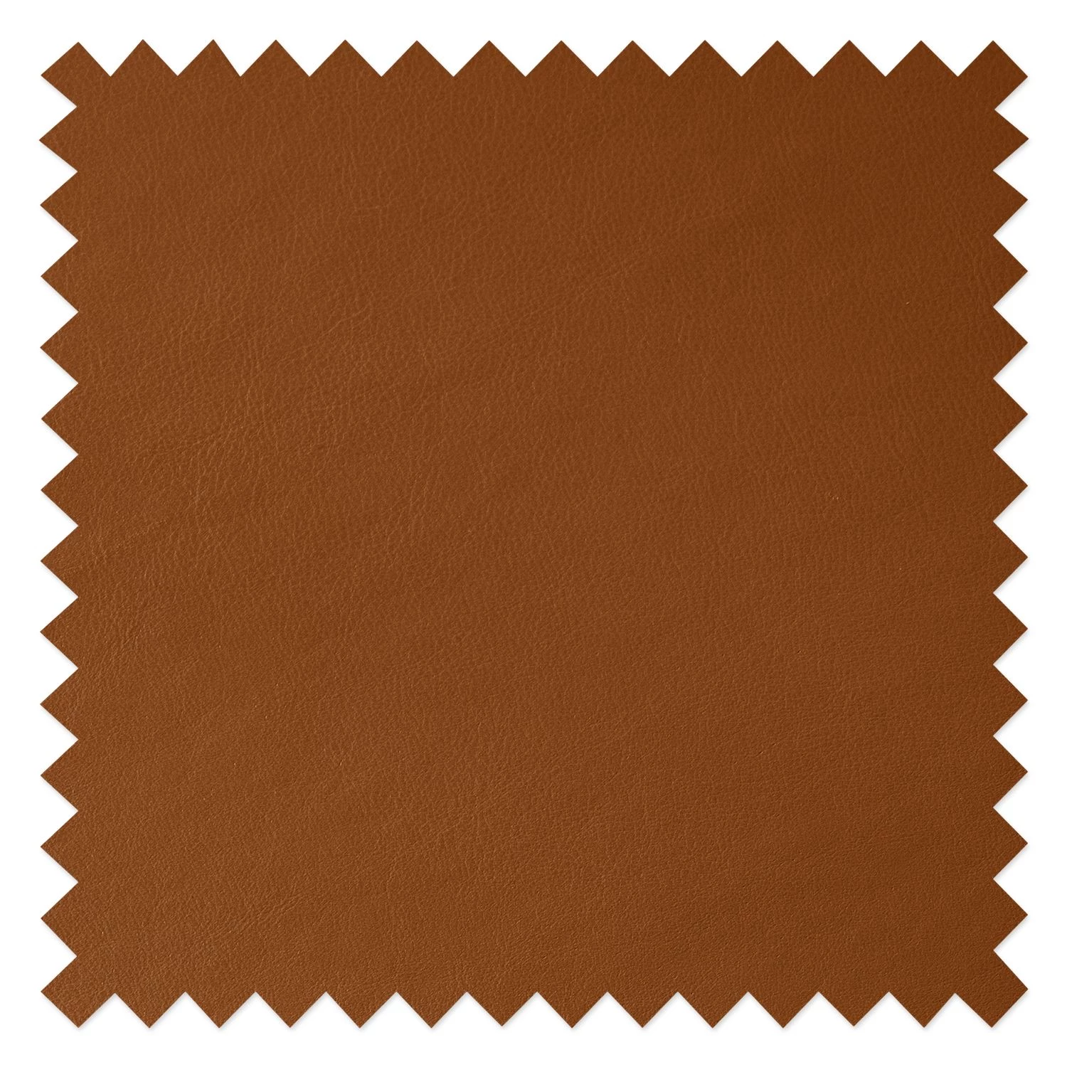 Studio Copenhagen Chaises Wilga V (lot de 2) - Cuir véritable 10 Studio Copenhagen Chaises Wilga V (lot de 2) - Cuir véritable – Image 8