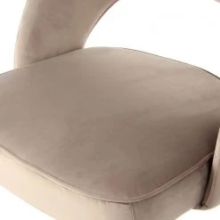 Kayoom Chaises capitonnées Courtney (lot de 2) - Velours / Partiellement en eucalyptus massif - Taupe / Doré -Chaises Soldes 2022 1000214234 200529 06082900444 DETAILS P000000001000214234
