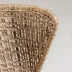 Red Living Chaises Rantin(lot de 2) - Rotin / Acier - Rotin / Noir -Chaises Soldes 2022 1000216198 200623 13474900280 DETAILS P000000001000216198