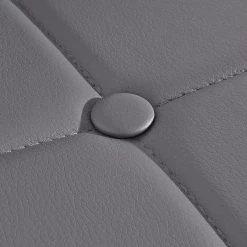 Red Living Chaises capitonnées Aline (lot de 2) - Gris -Chaises Soldes 2022 1000271807 210602 16122200054 DETAILS P000000001000271807