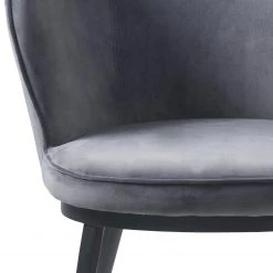 Red Living Chaise à accoudoirs Cheia II - Velours / Fer - Gris clair / Noir -Chaises Soldes 2022 1000303607 211117 164740000125 DETAILS P000000001000303607